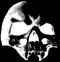 http://www.leshordesmetalliques.com/images/skull.gif